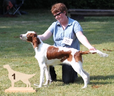 De la cour saint florent - expo canine Stuttgart Muhlhausen