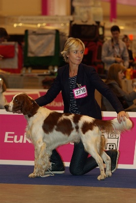 De la cour saint florent - Championnat d'Europe - 30.08.2013