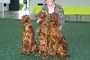  - expo canine de Saarbrucken