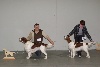  - expo canine d'Offenourg