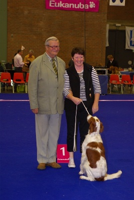 De la cour saint florent - expo canine de Genk