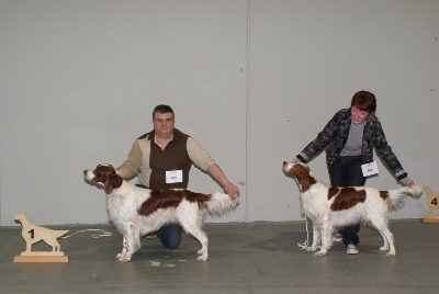 De la cour saint florent - expo canine d'Offenourg